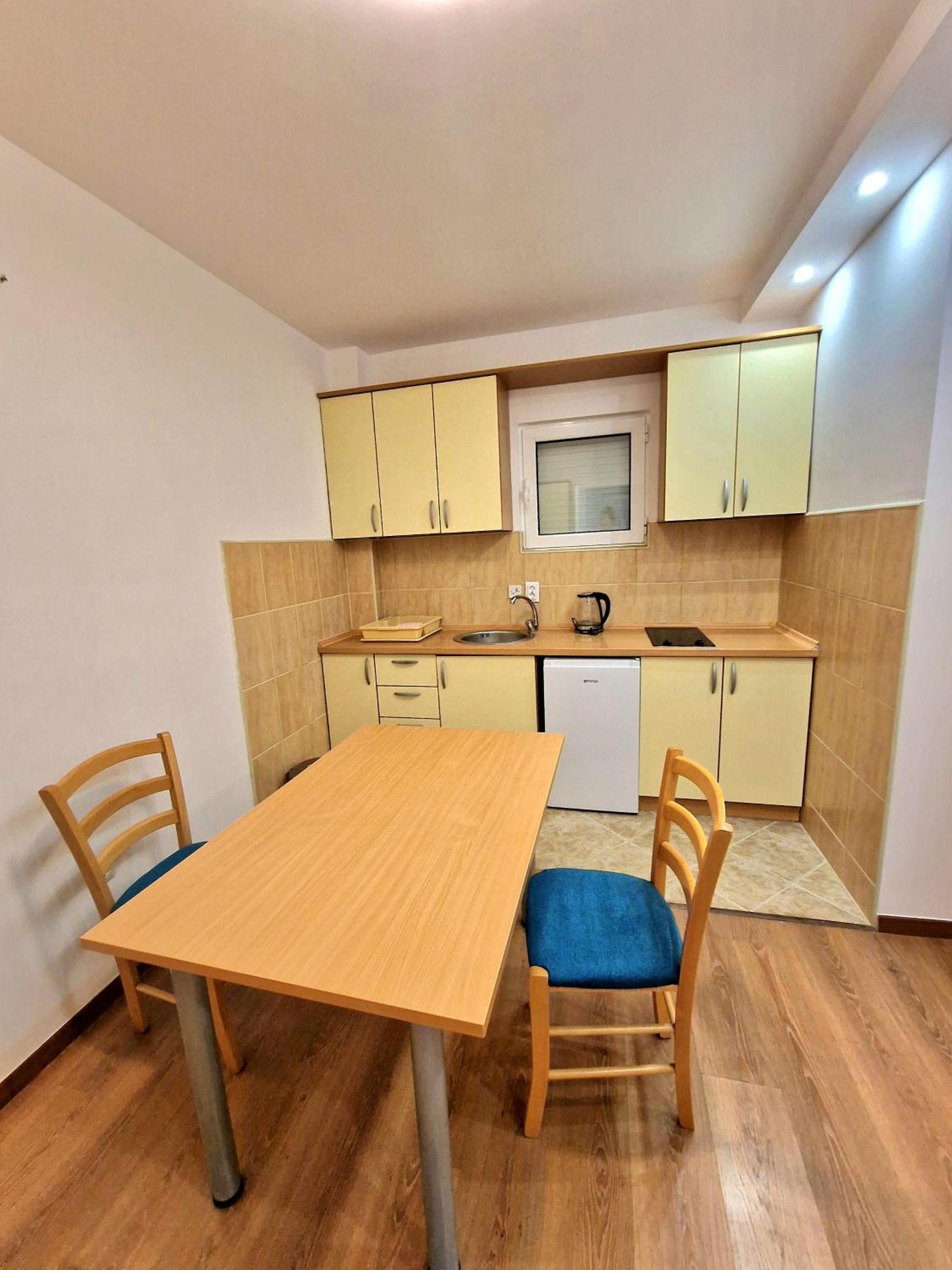 Vila Lena Petrovac Bilik gambar