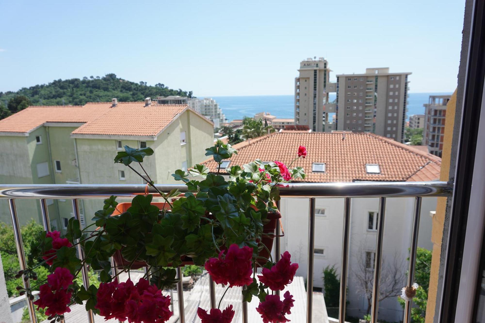 Vila Lena Petrovac Bilik gambar